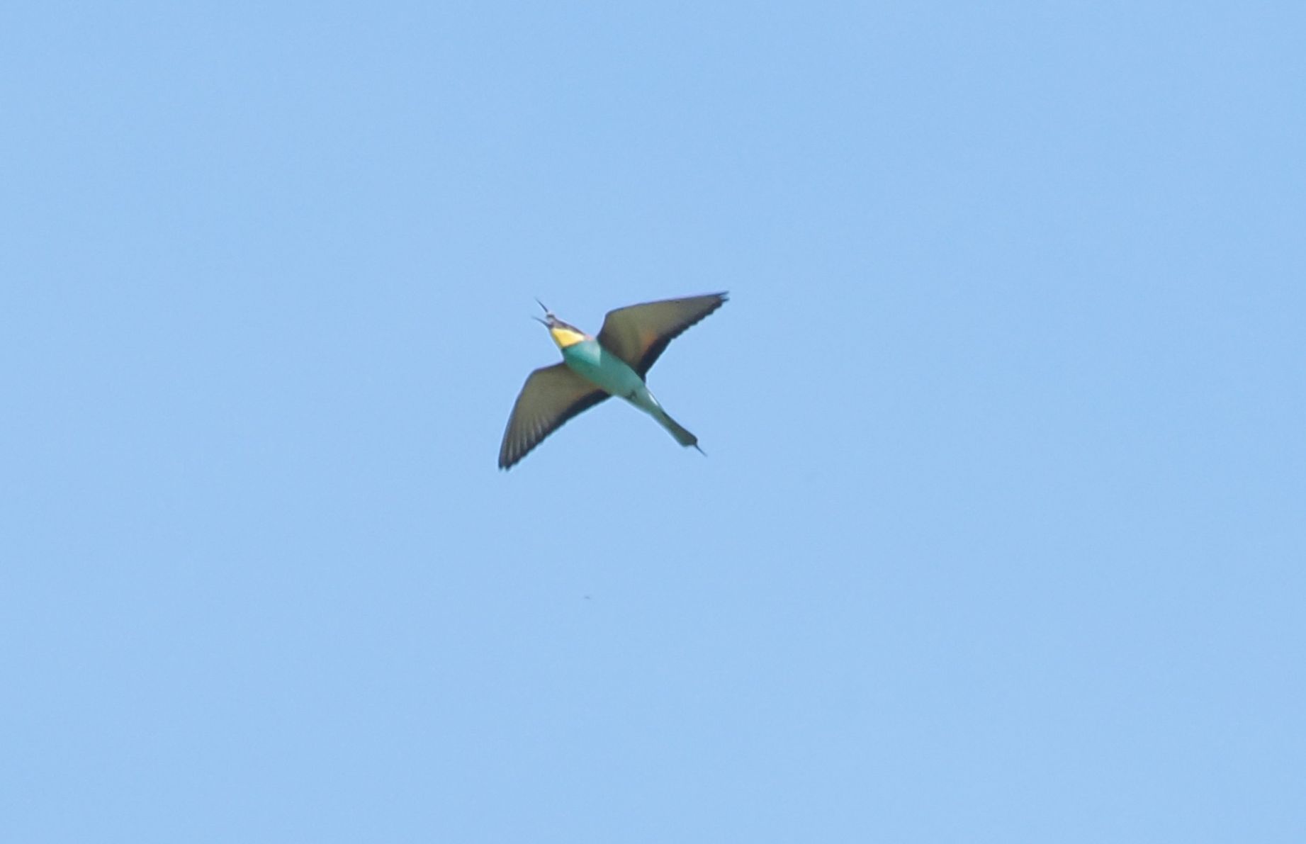 050525 jpb7