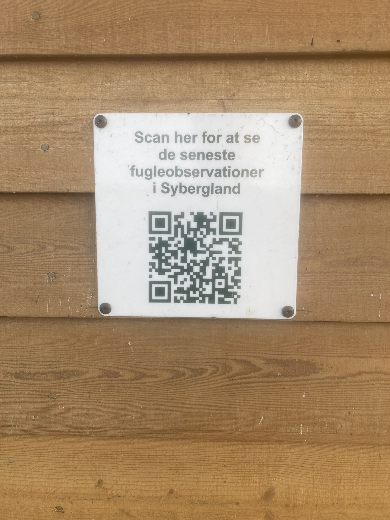 300425 QR kode