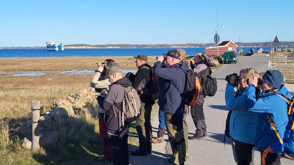 250425ankomst06steenkrogh