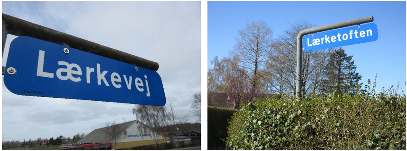 080425skiltenan