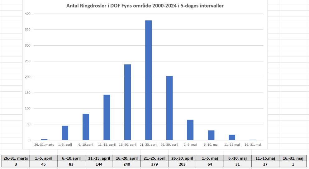 260325ringdiagram