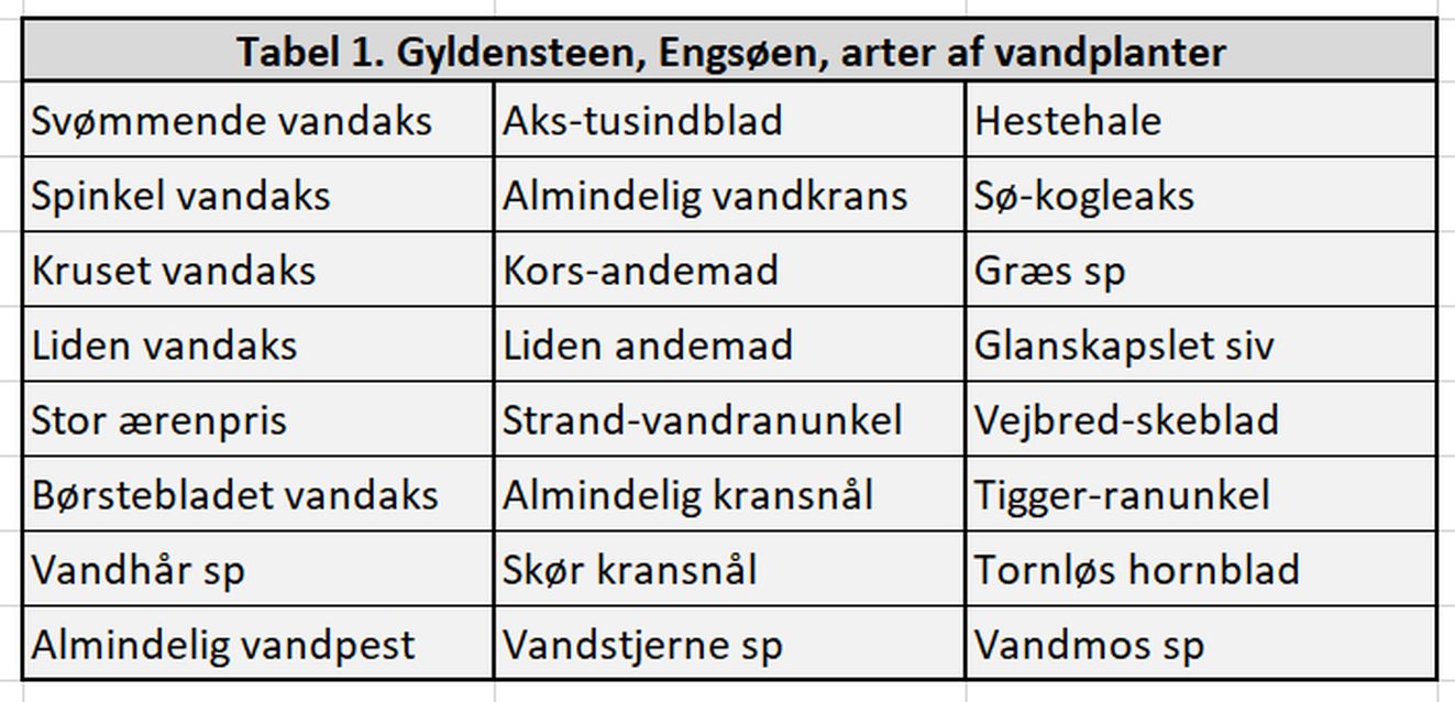 290325tabel1