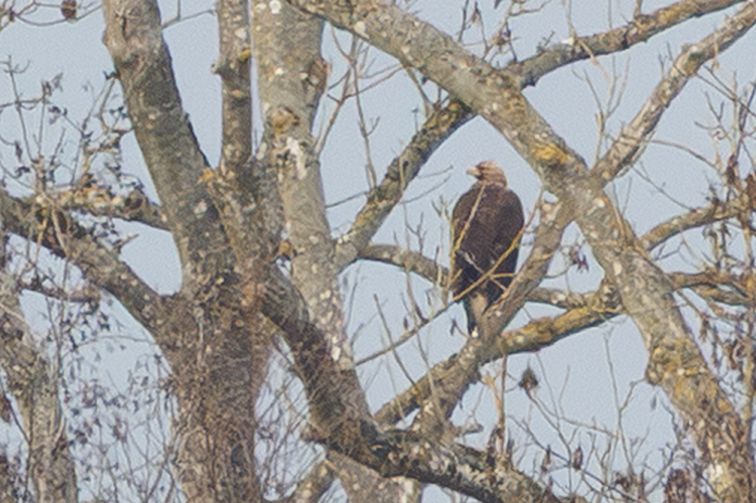 101225kongeninarosendahllarsen