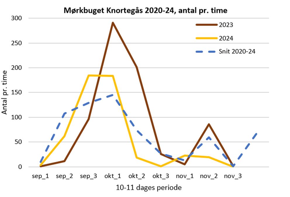 100125mknortegasgraf