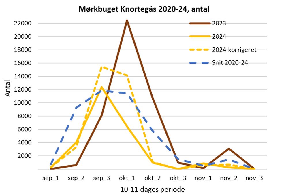 100125mknortegraf1