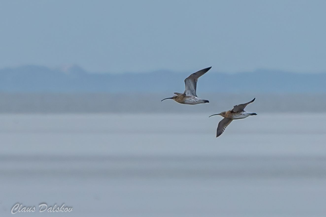 301125storspvidåcld