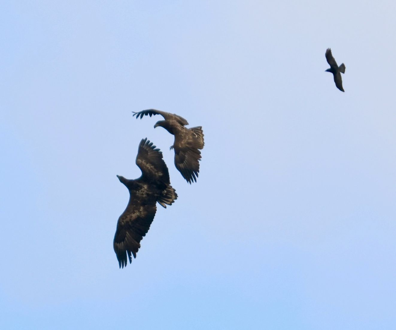 201125havlandettorpvr