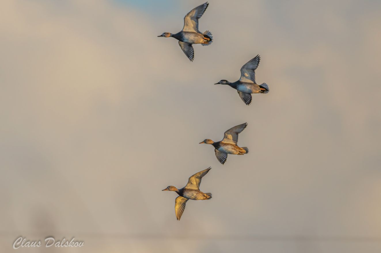 201125knarbotoftecld