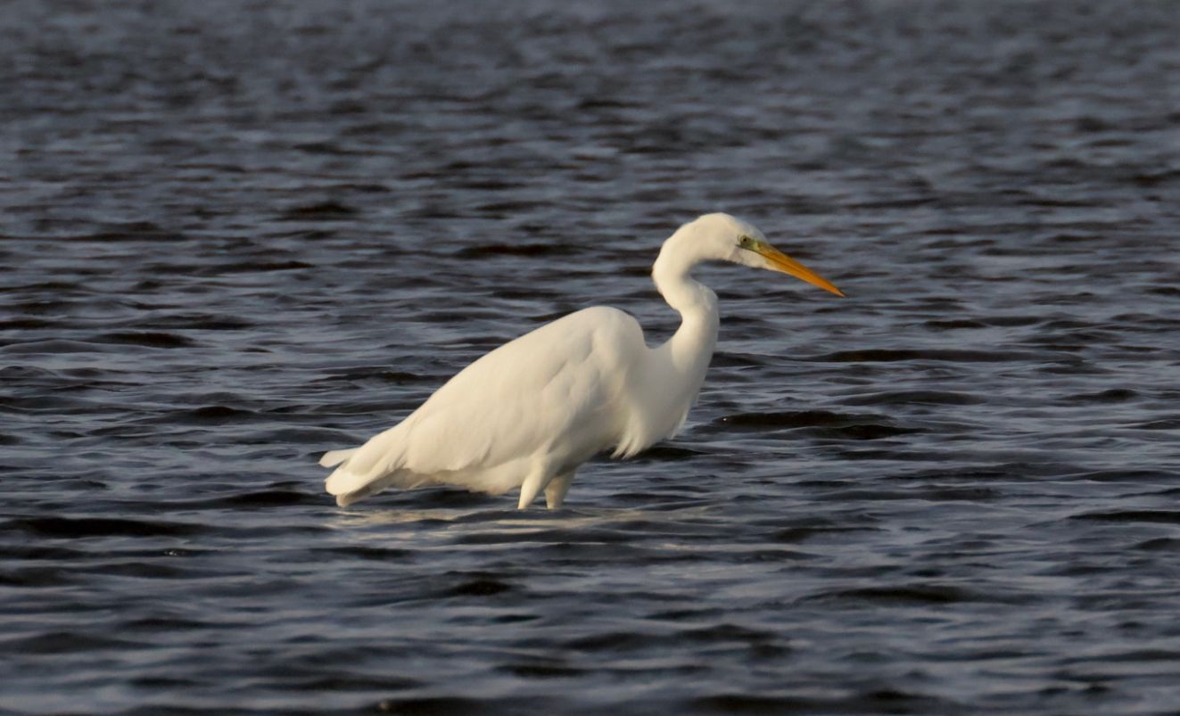 201125sølvvejltorpvr