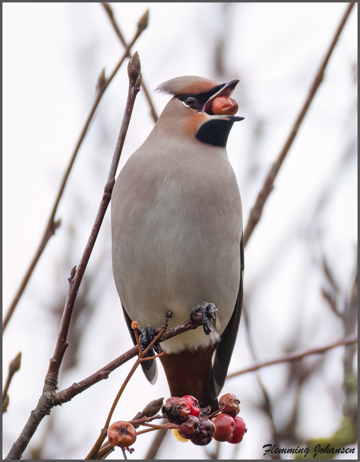 581227995 25227046493653087 6527771694808415406 n