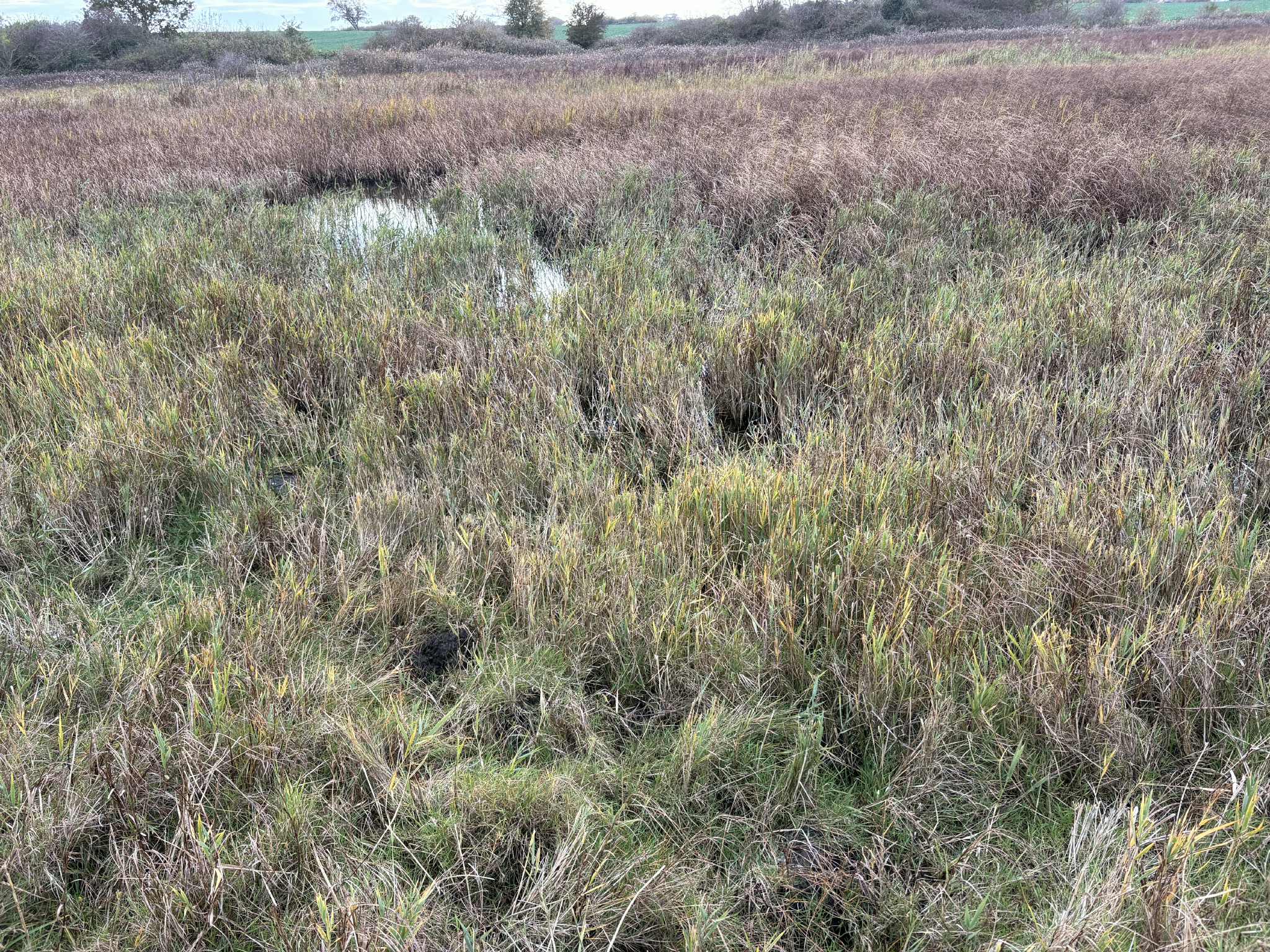 da740e78 b854 4212 8cb9 a5766d920cb3