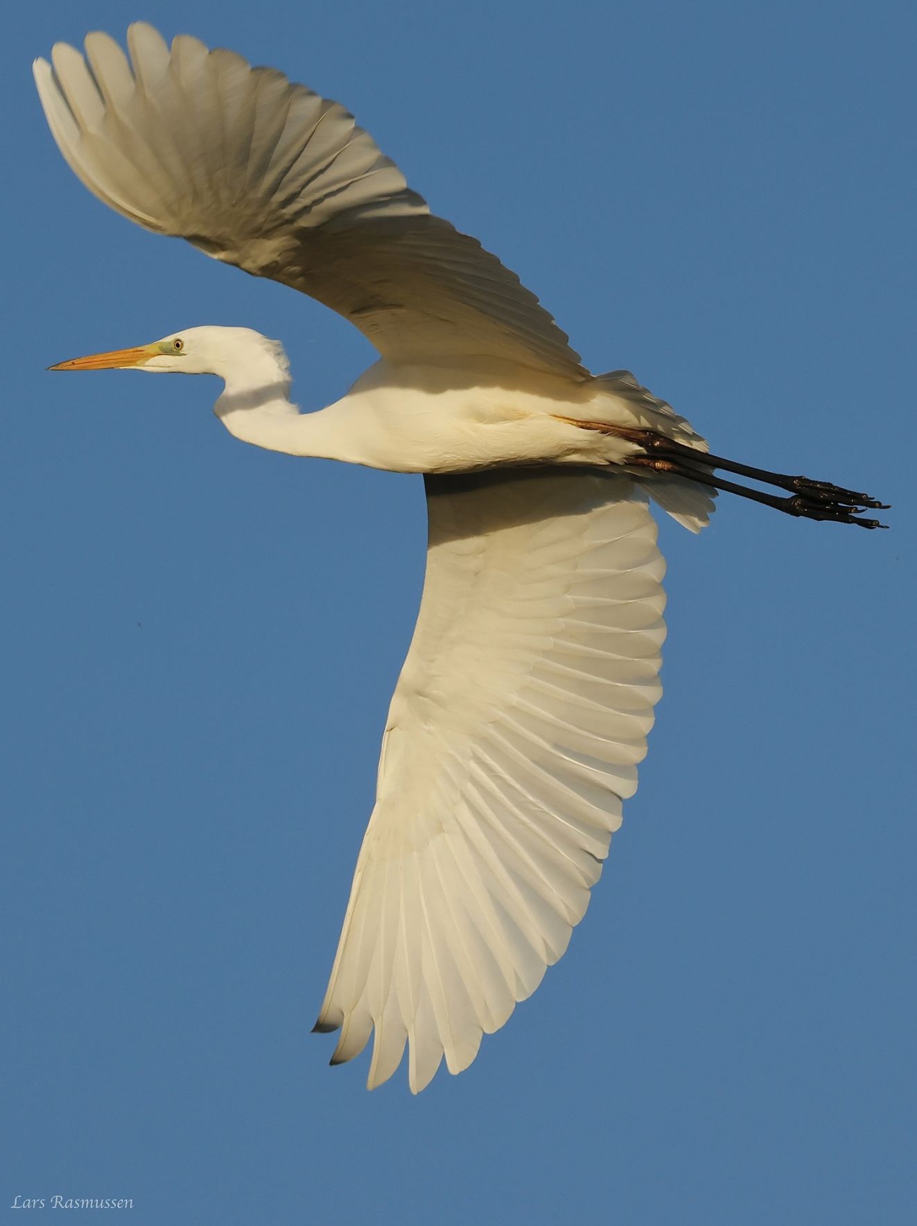 061125sølvtorbrobylr