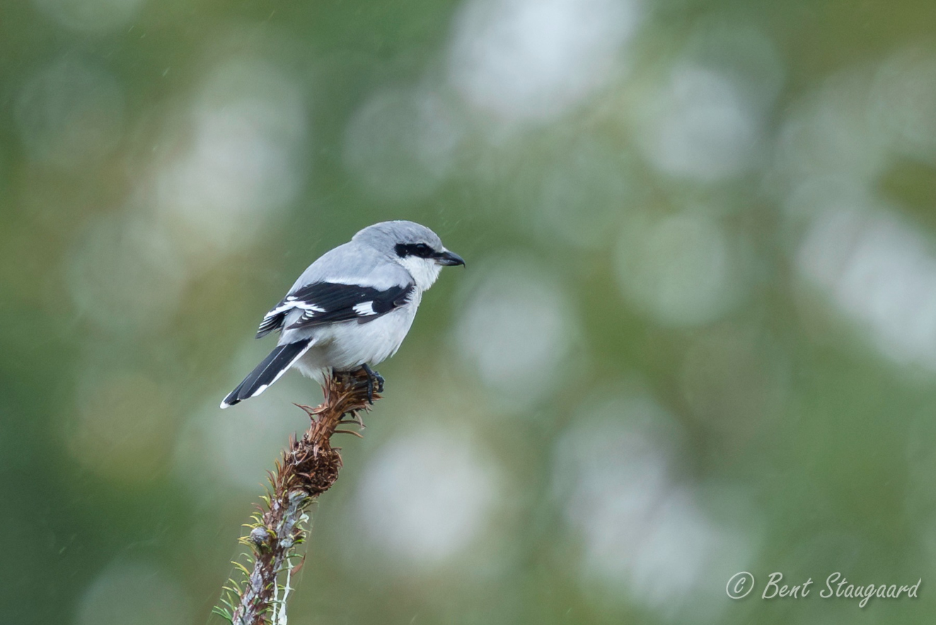271025 Stor Tornskade