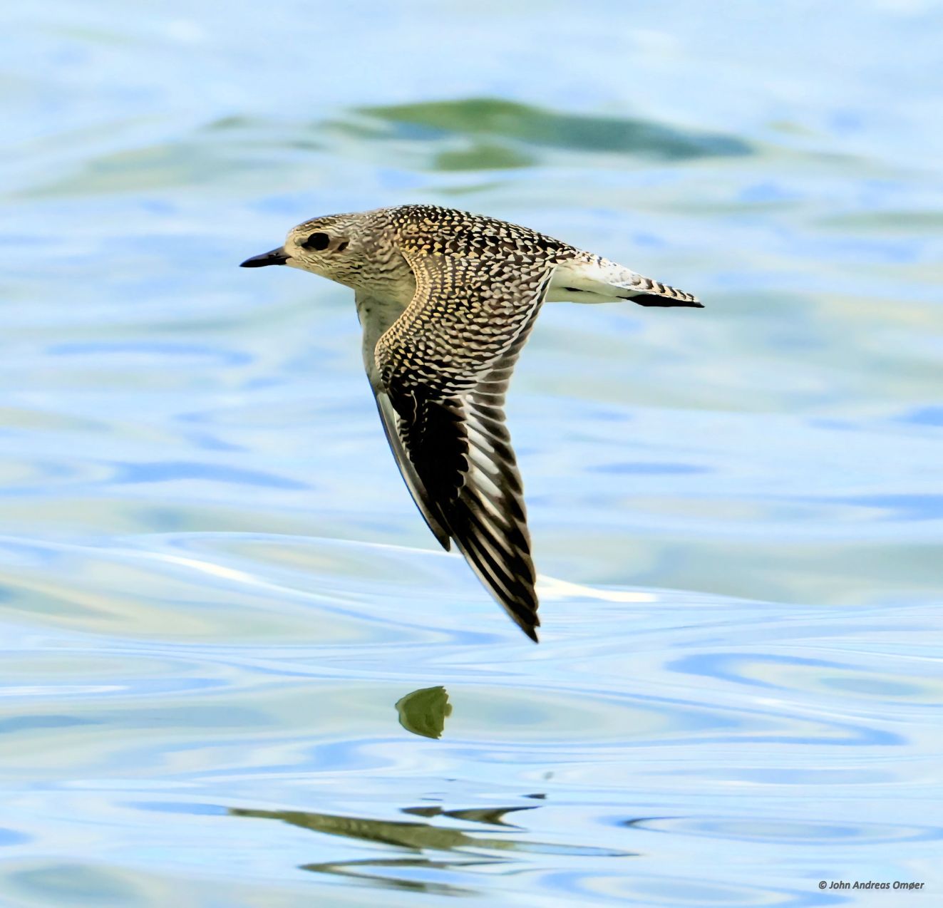 101025strandflyvjao