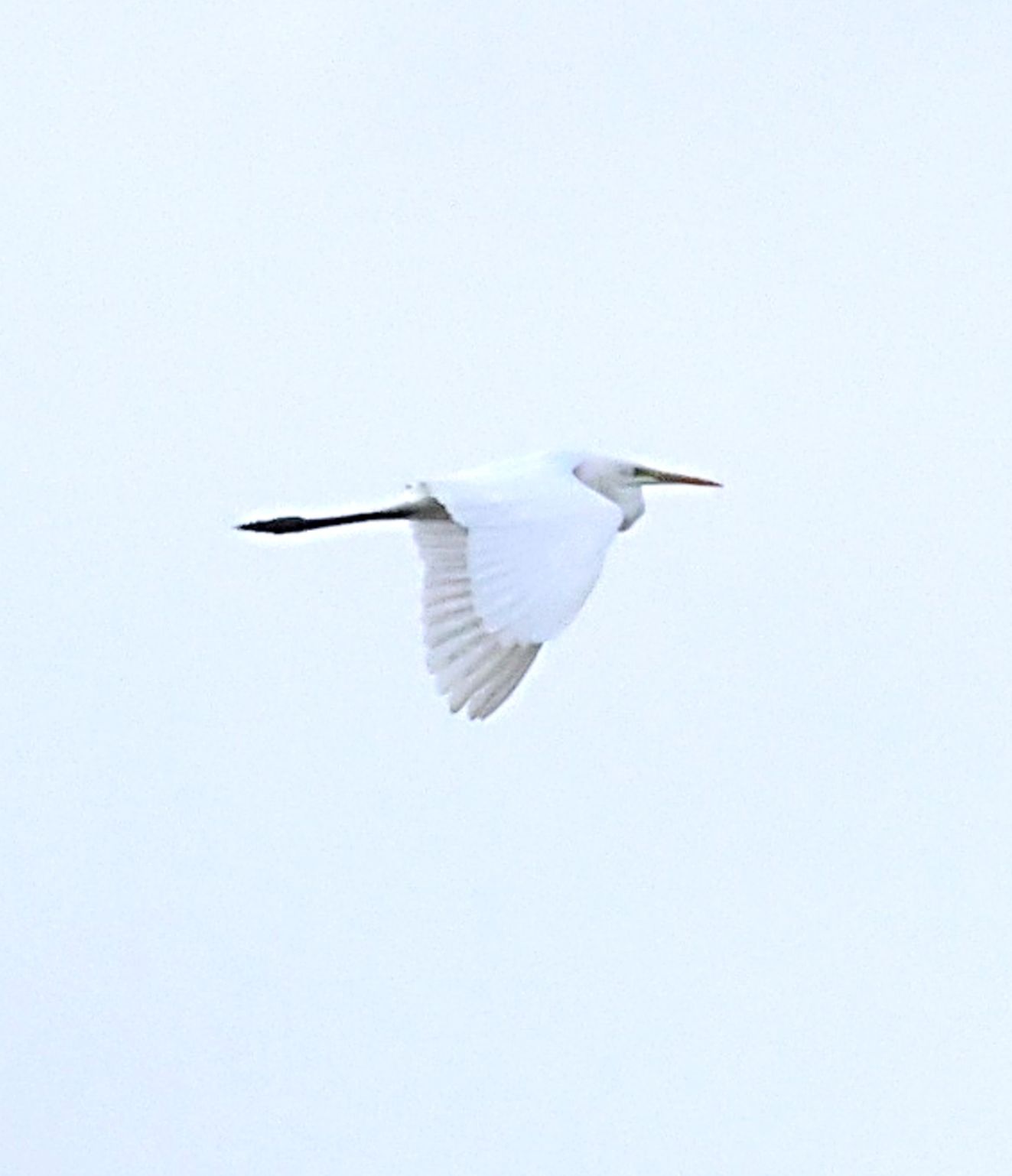 141025sølvmmj