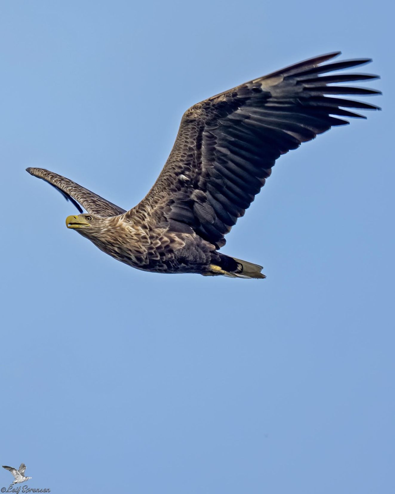 050925havbrændels