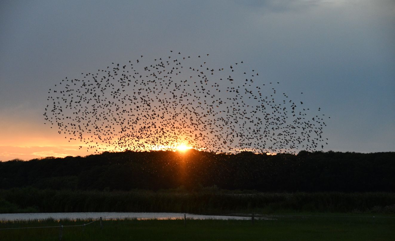 050925størvejlach