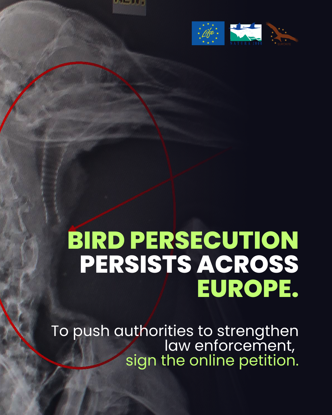 forfølgelsen fortsætter