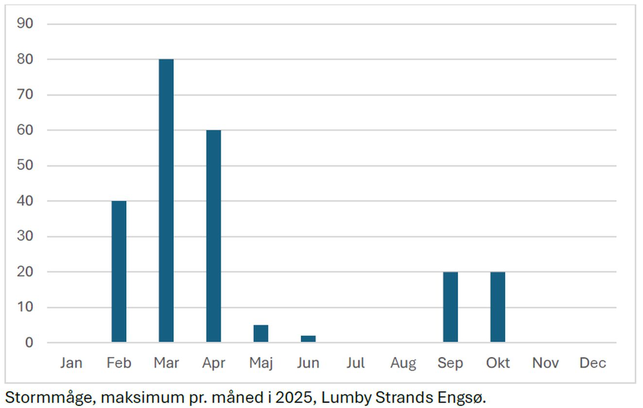 250526stormdiagram