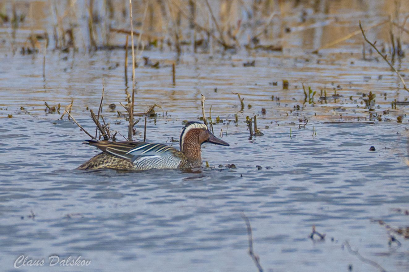 160426atlingbotoftecld