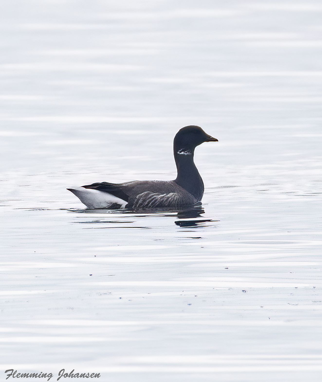 160426knortetirfaabhavnflj