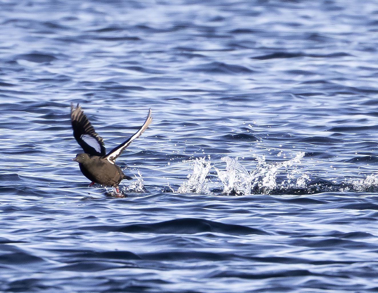 190426tejsttakeoffet