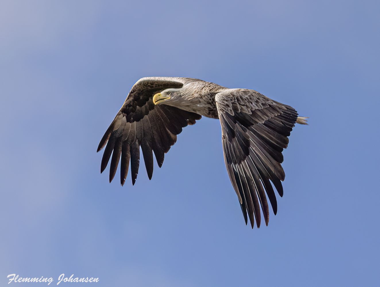 080426havbrændelørflj