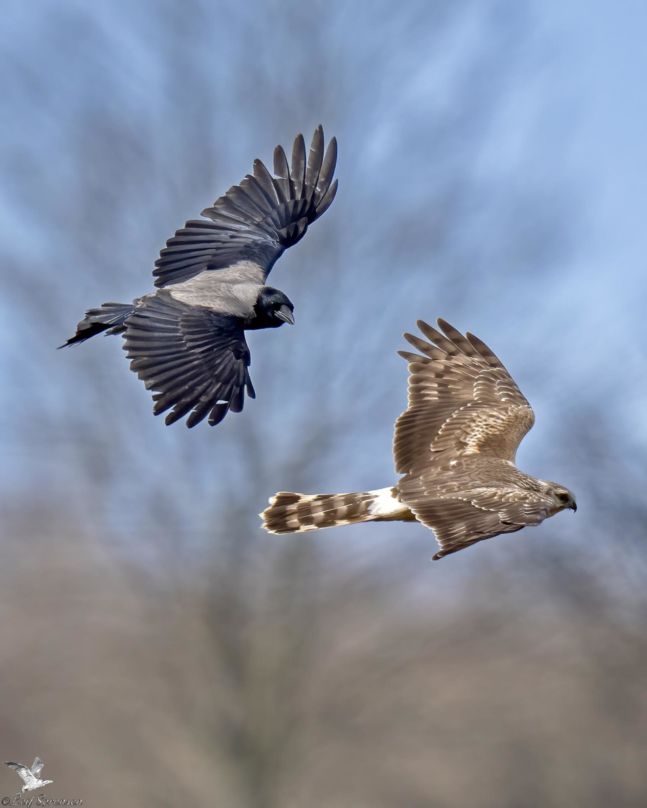 060426 Sidepanel Bl Krhg Brndegrd Leif Srensen