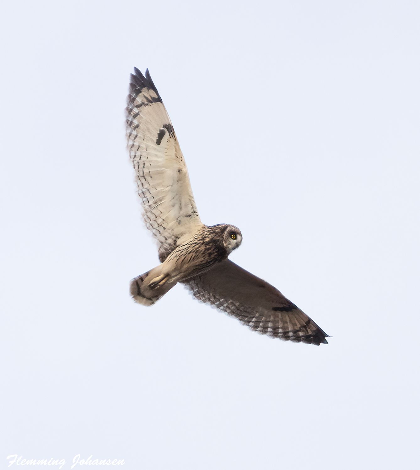 080326mosehelnæsmanflj