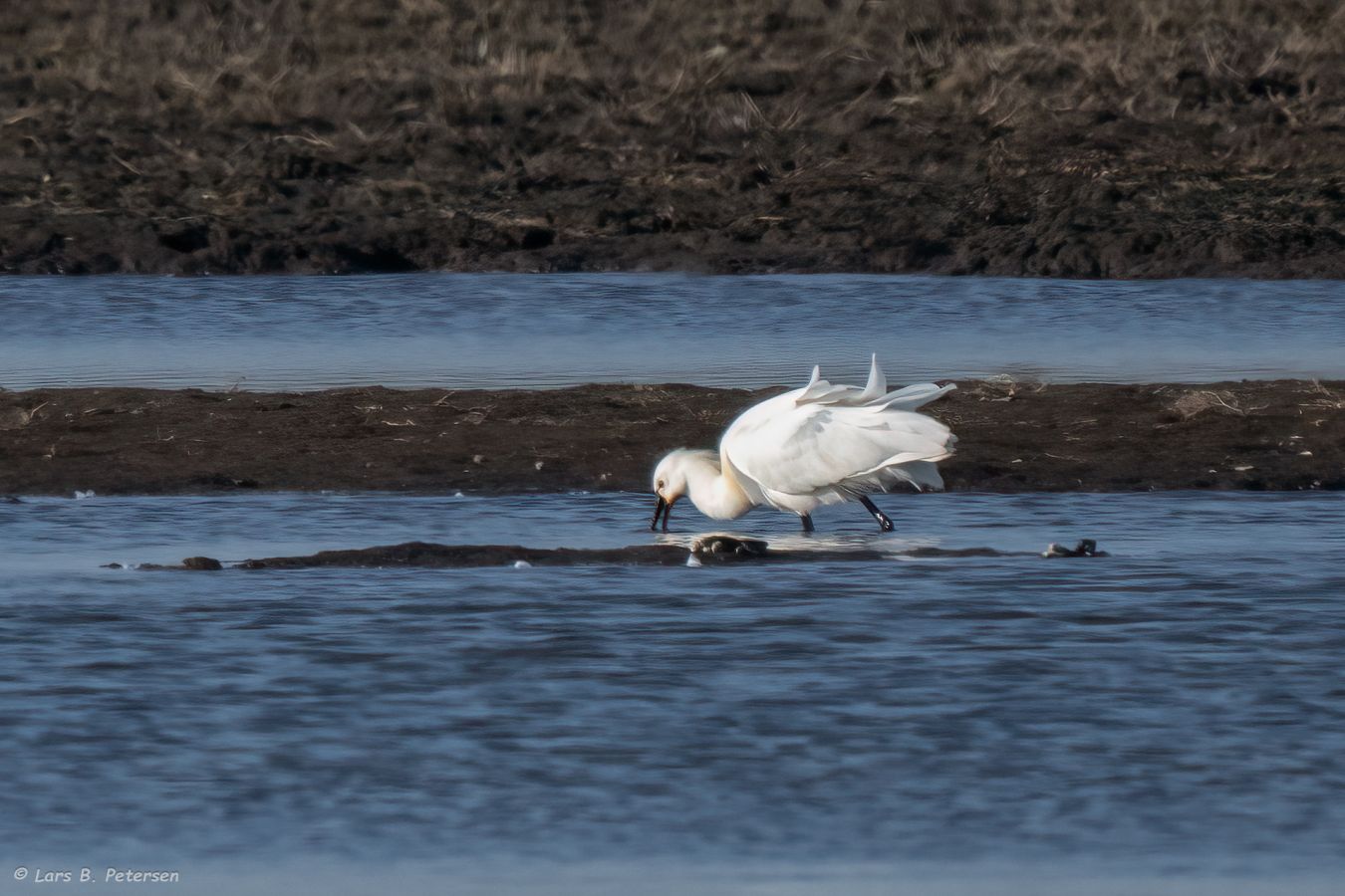 080326skebøjdenmanlbp