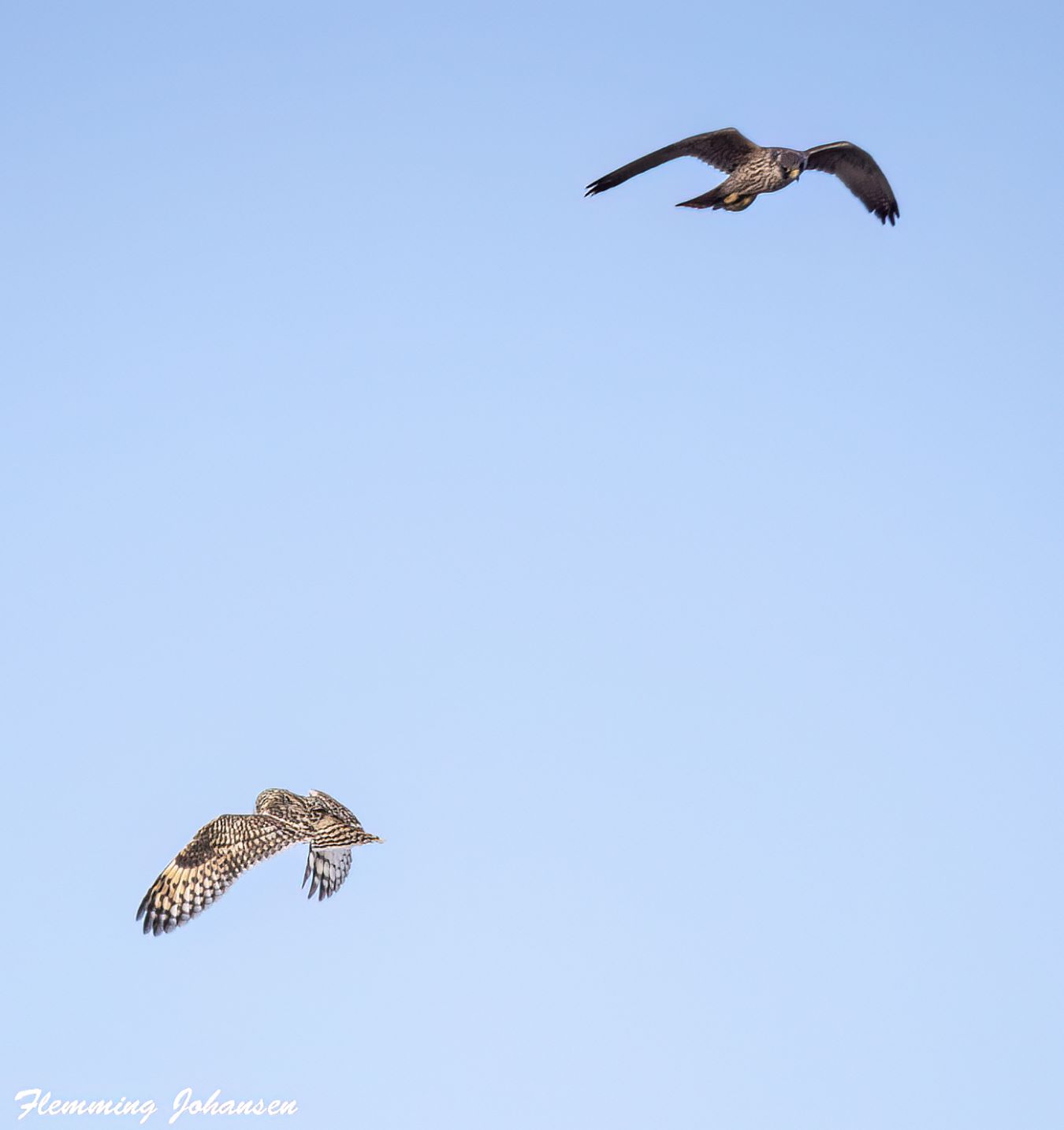 080326vandremosemanhelflj