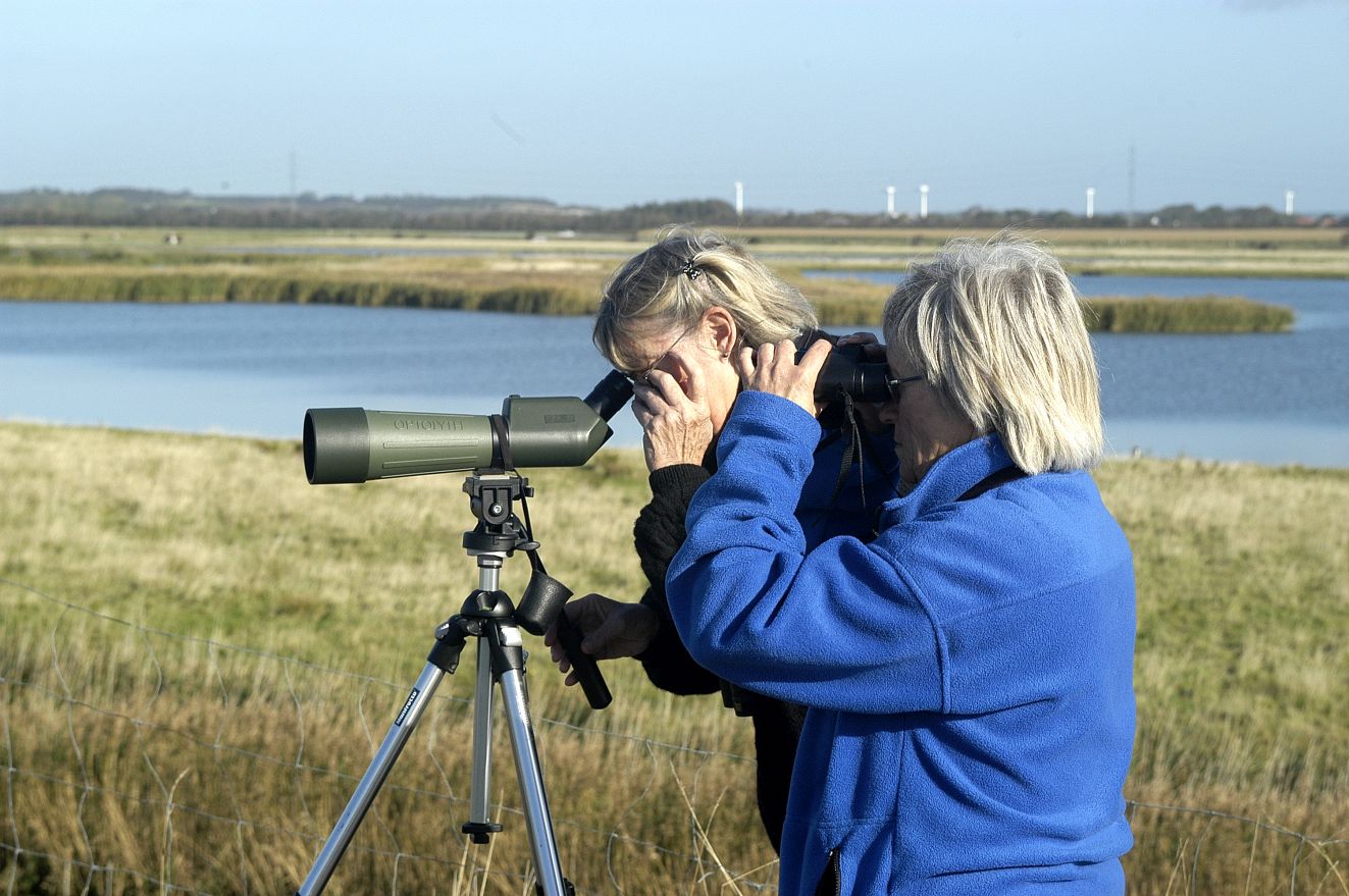 240226fugleobserejfrikke