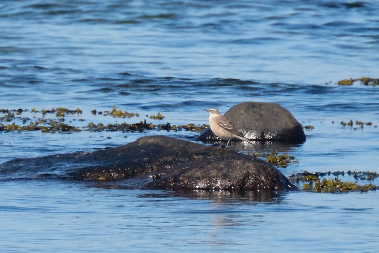 240126bjergfælles2903mra