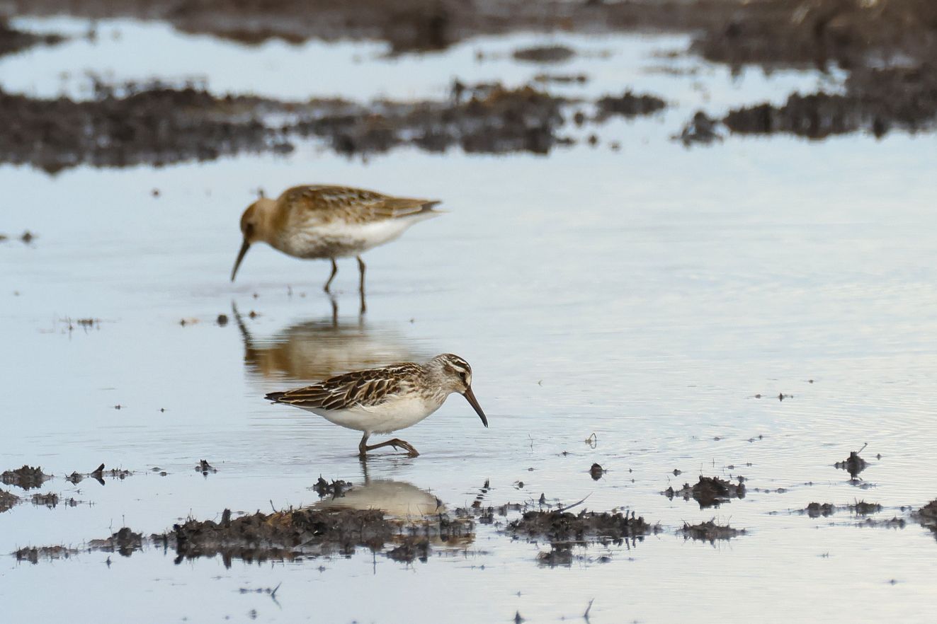 240126kærbøjd3108ach