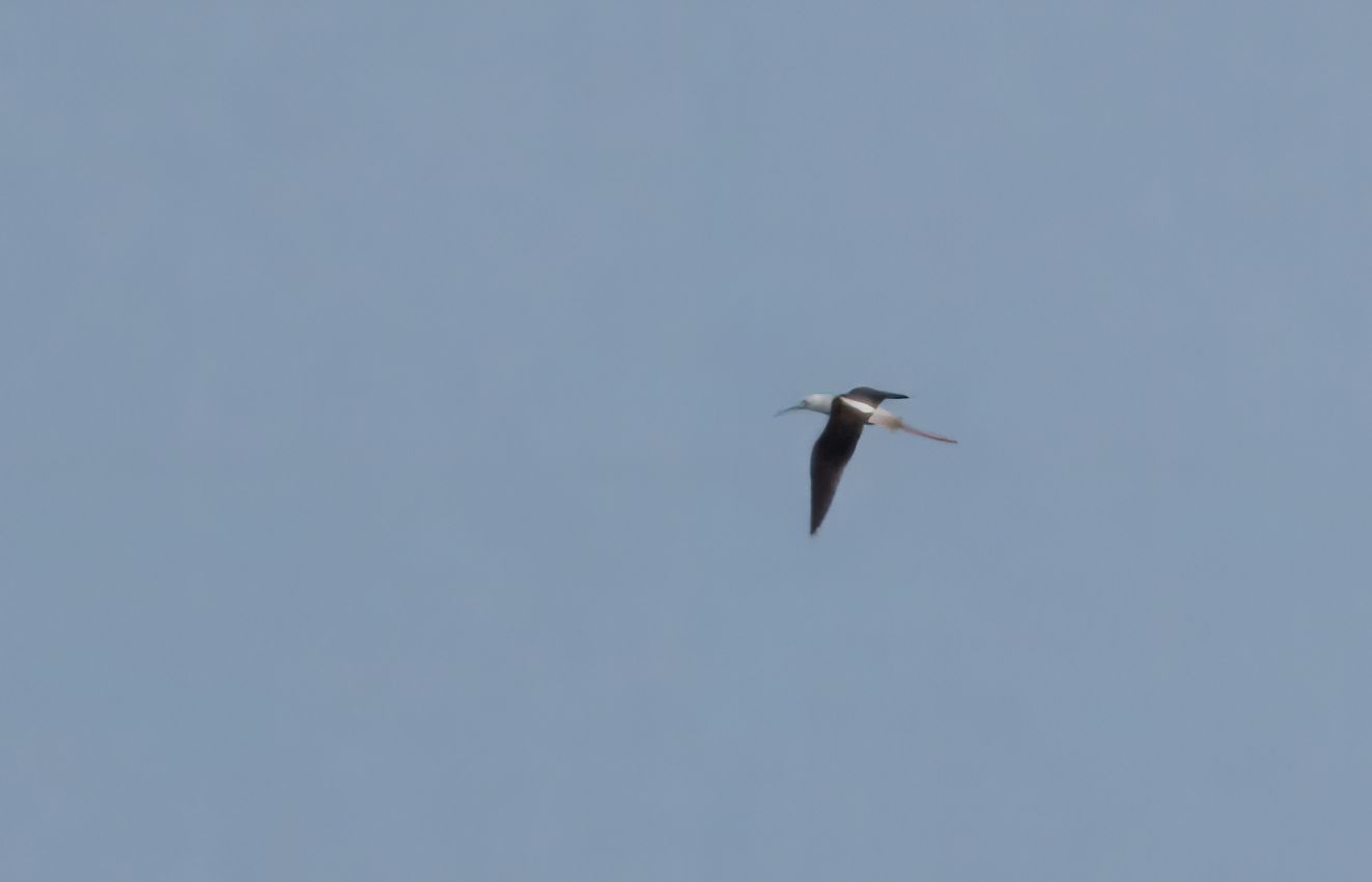 240126styltetryggelev0706lk