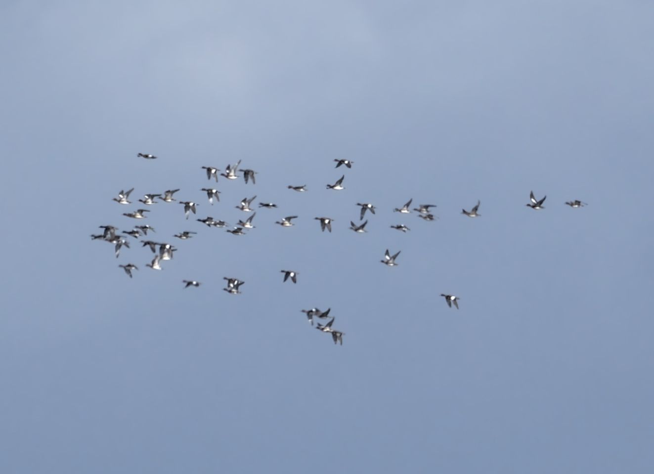 250126pibeand0409mbh