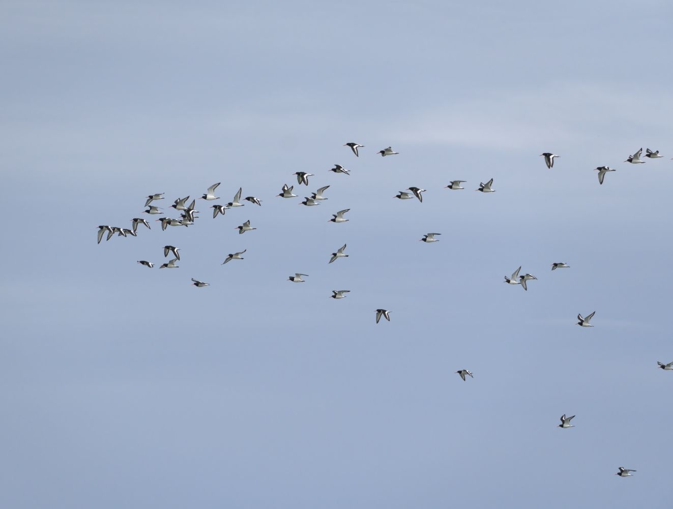 250126strandskade1108mbh