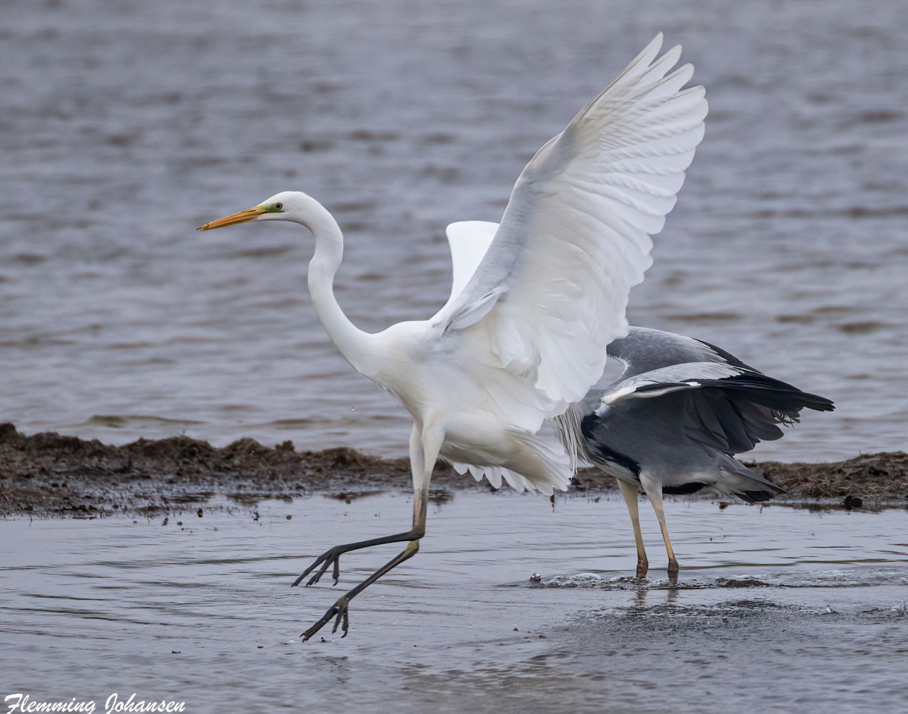 060126sølvsønbøjdflj