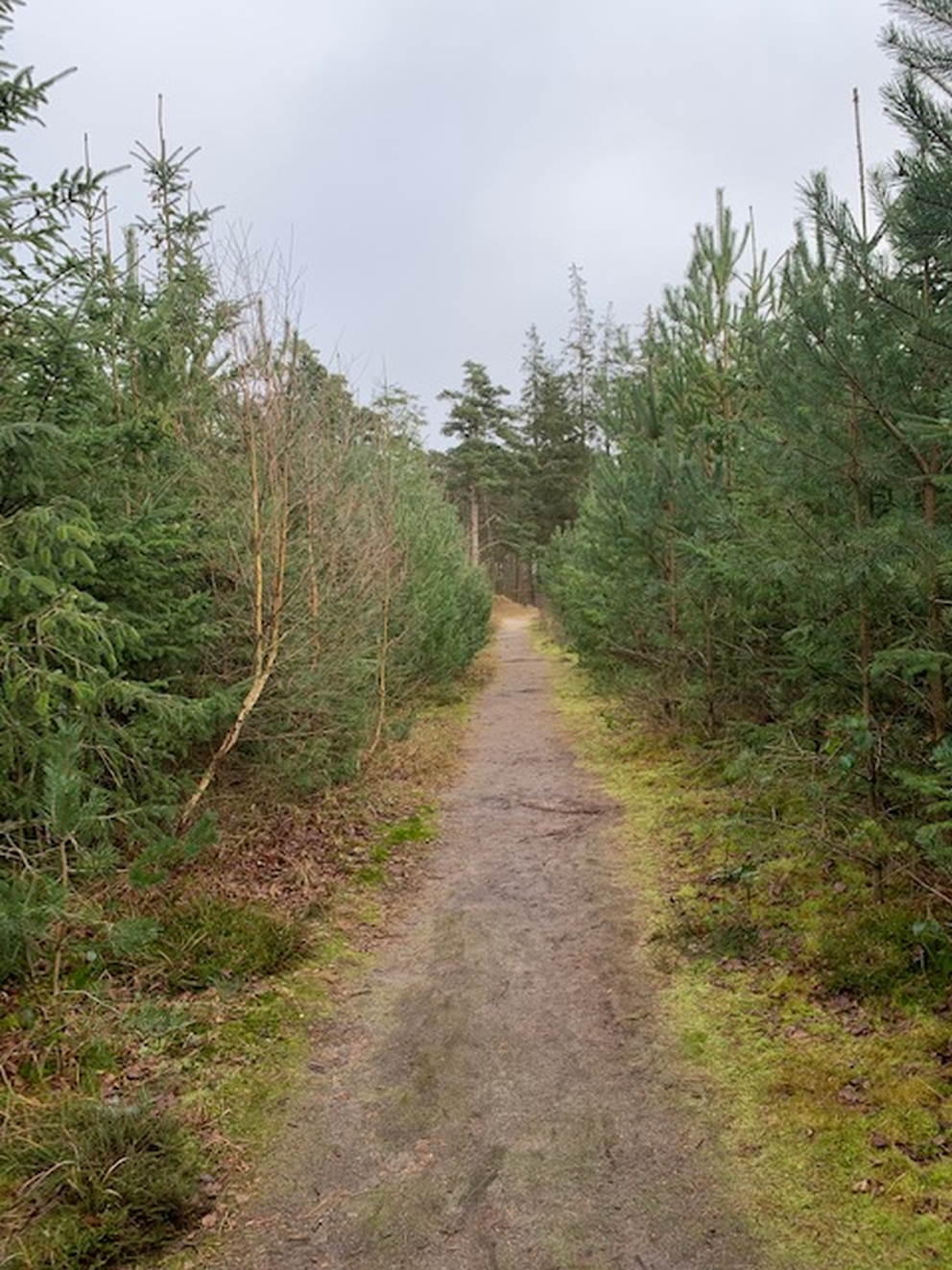 Granplantage Lene Park